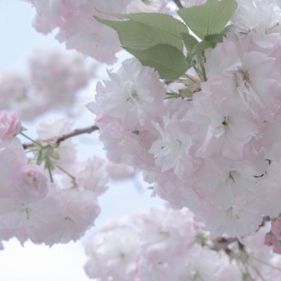 武鸣FurryQQ群介绍